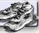 CALZOLAI.IT - Homepage